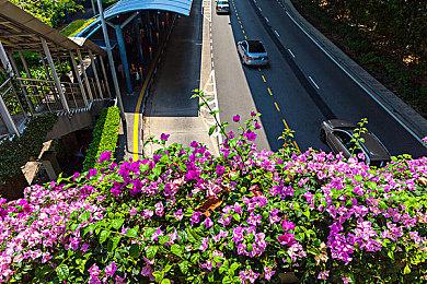 经典仍在延续 《塞尔达传说》系列迎来39周年纪念